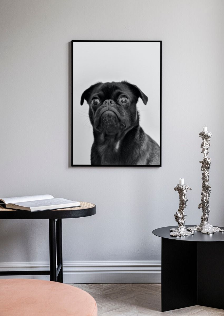 Bulldog plakat