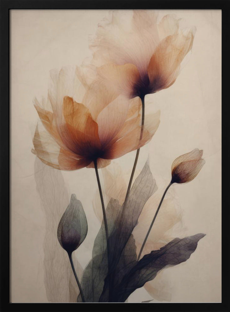 Look-plakaten