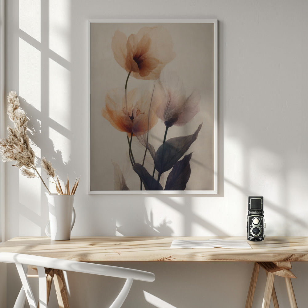 Look-plakaten