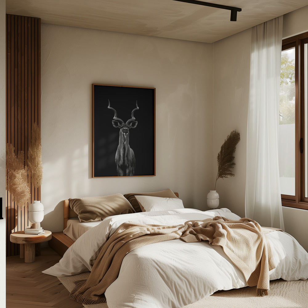 Greater Kudu plakat