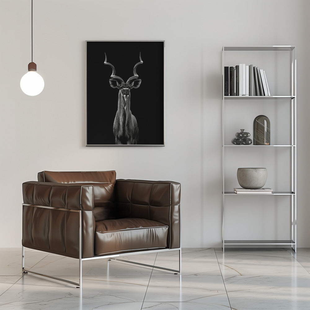 Greater Kudu plakat