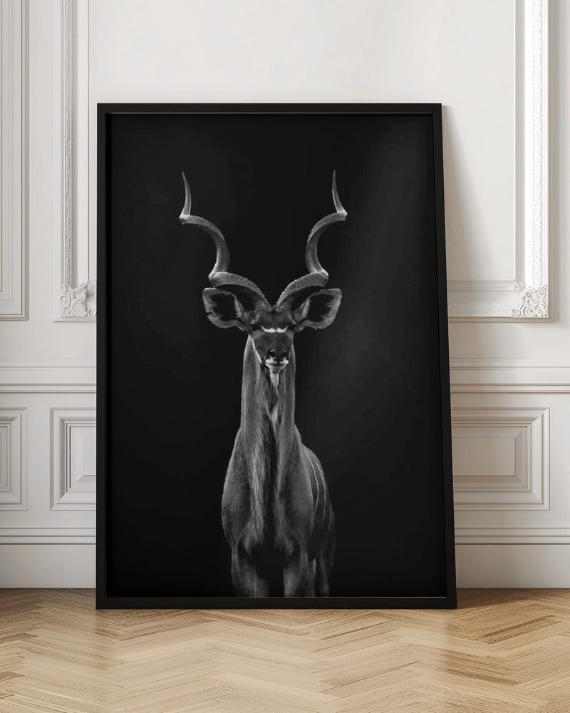 Greater Kudu plakat