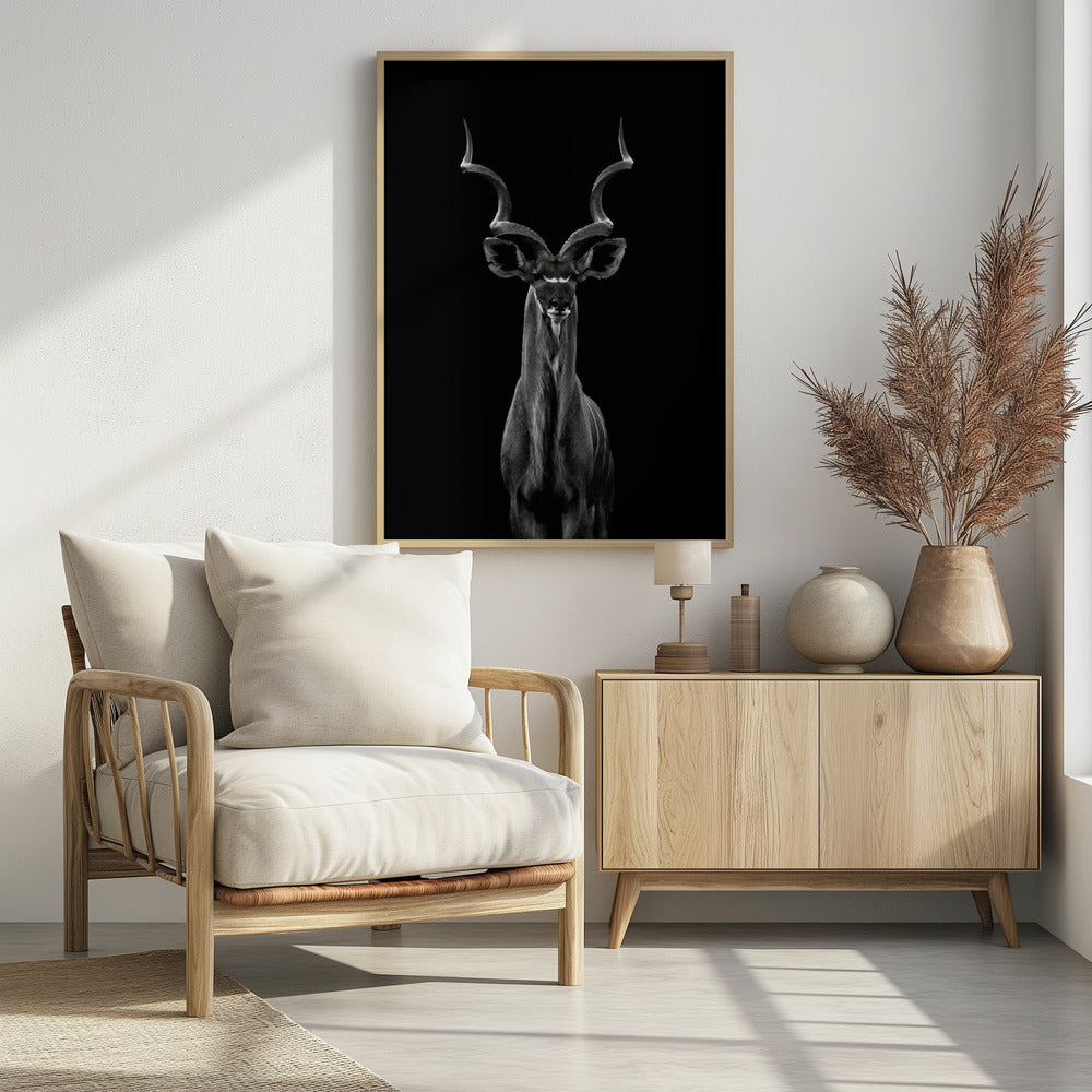 Greater Kudu plakat