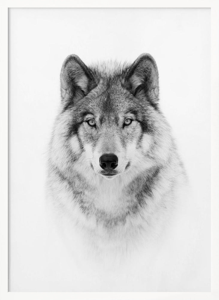 Timber Wolf plakat