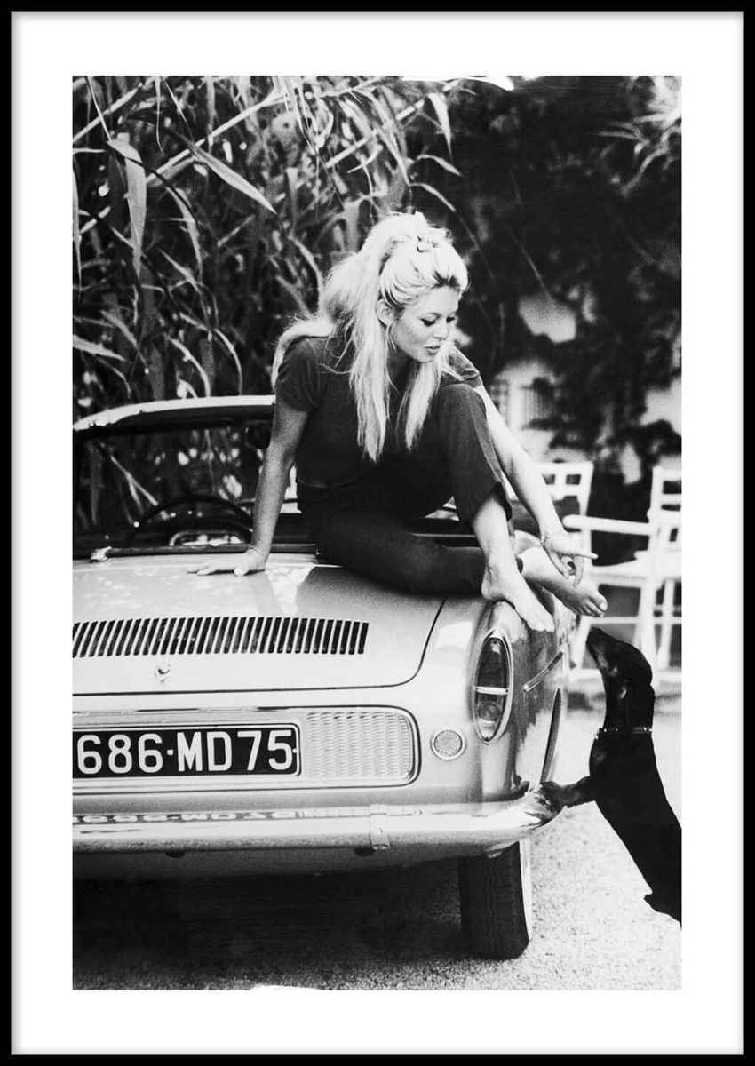 Brigitte Bardot plakat