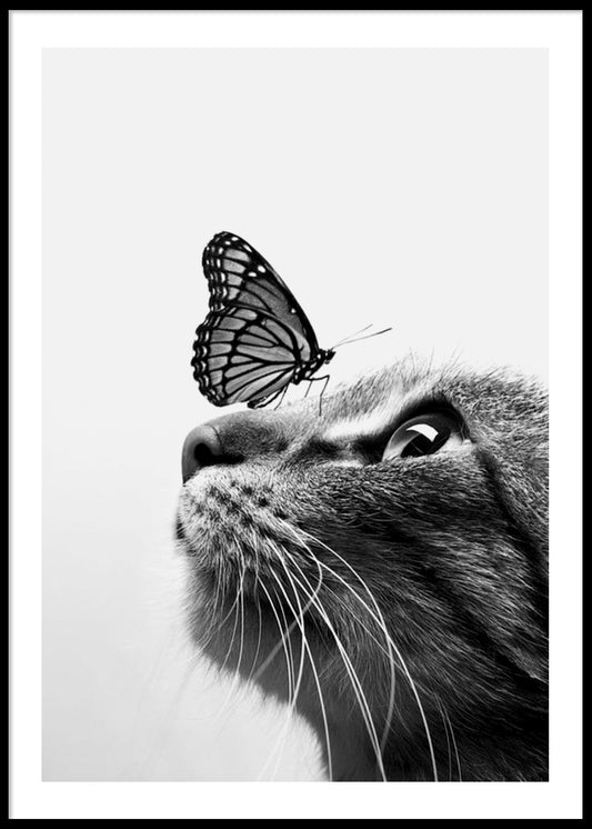 Butterfly Cat plakat