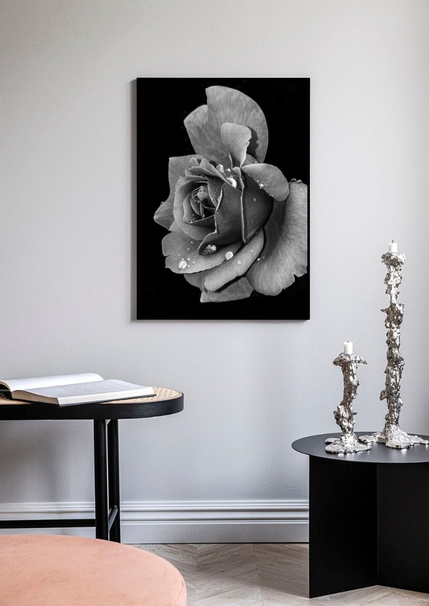 Rose plakat