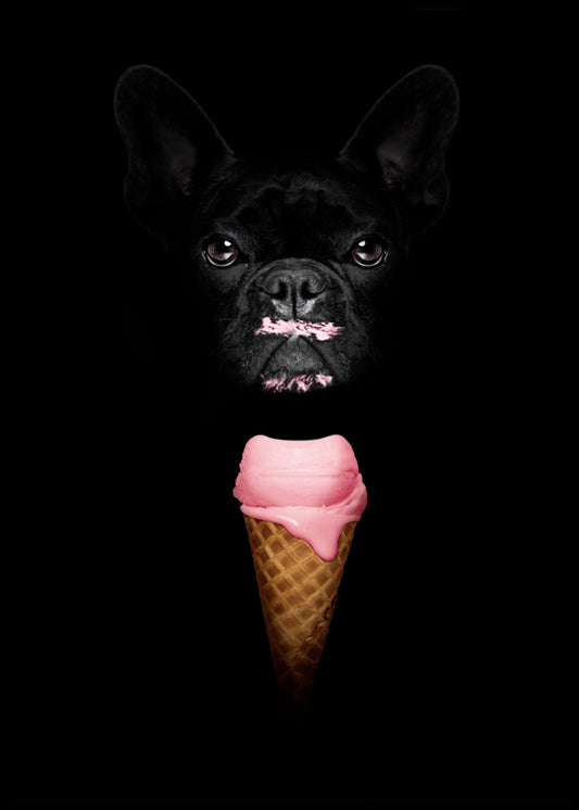 Ice Cream Bulldog plakat