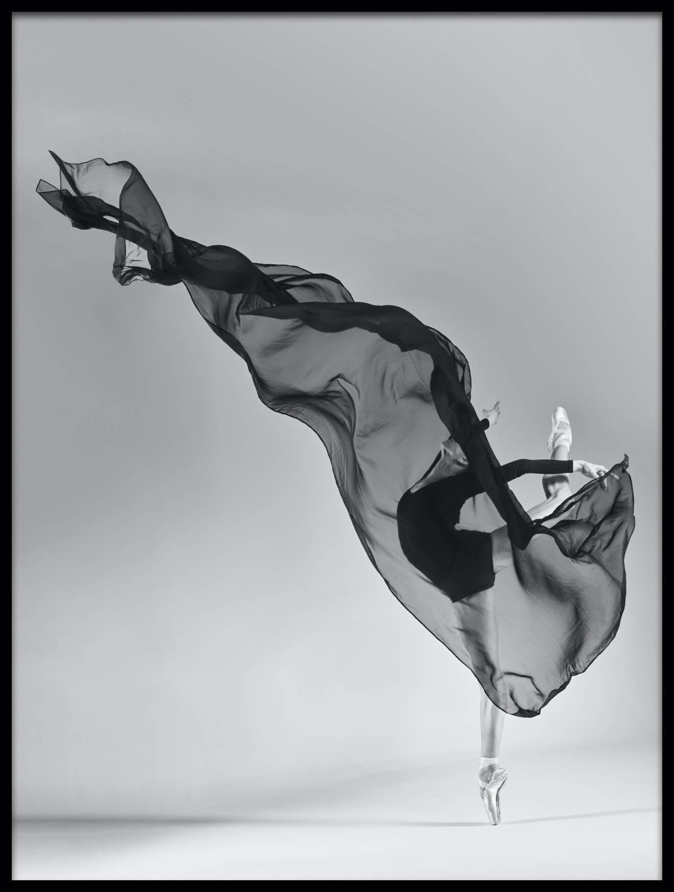 Balletdanser plakat