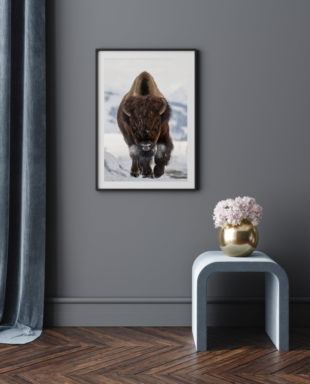 Bison indkommende plakat