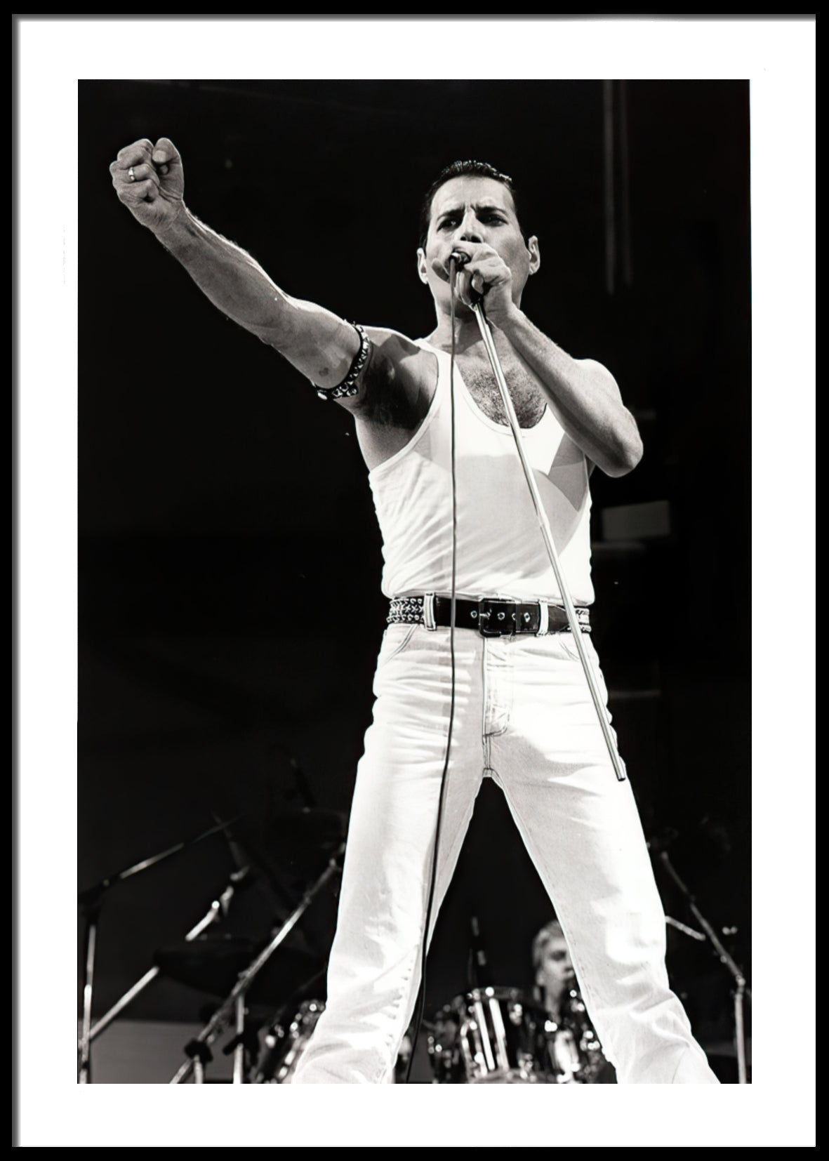 Freddie Mercury No4 plakat