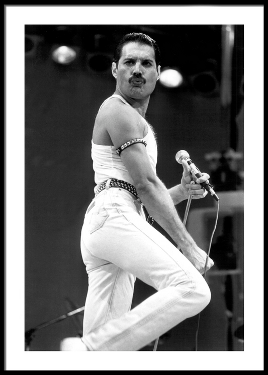 Freddie Mercury nr. 5
