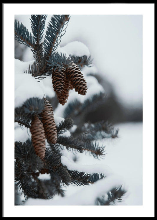 Pinecone plakat