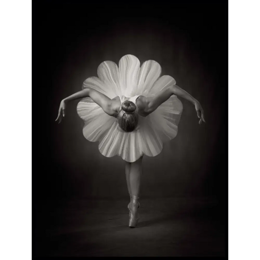 Floral Ballet Poster