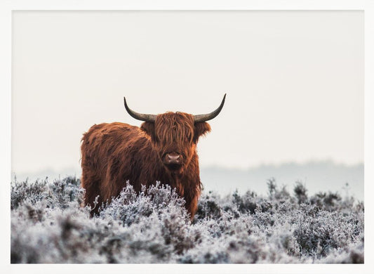 Highlander plakat