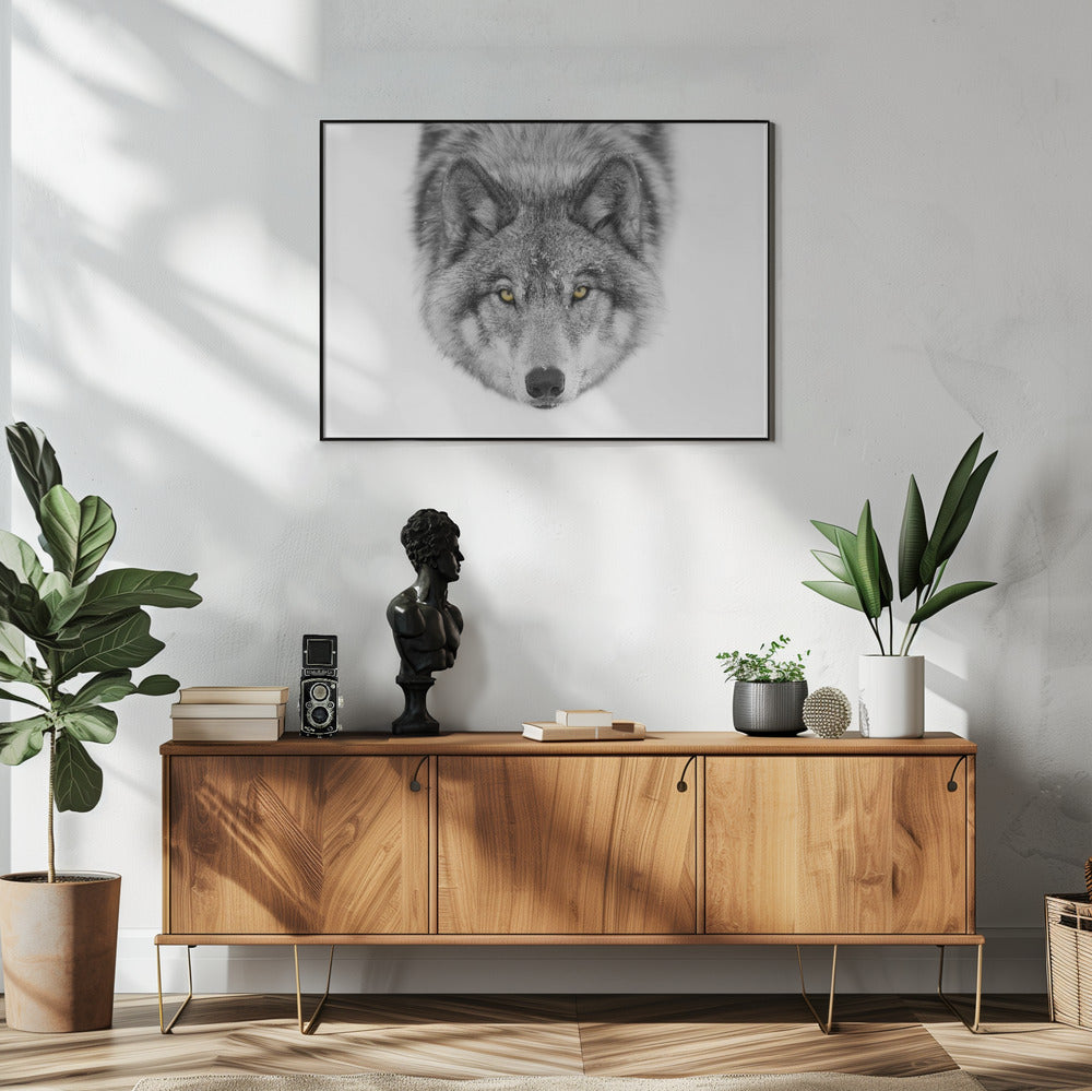 Timber Wolf No2 Plakat