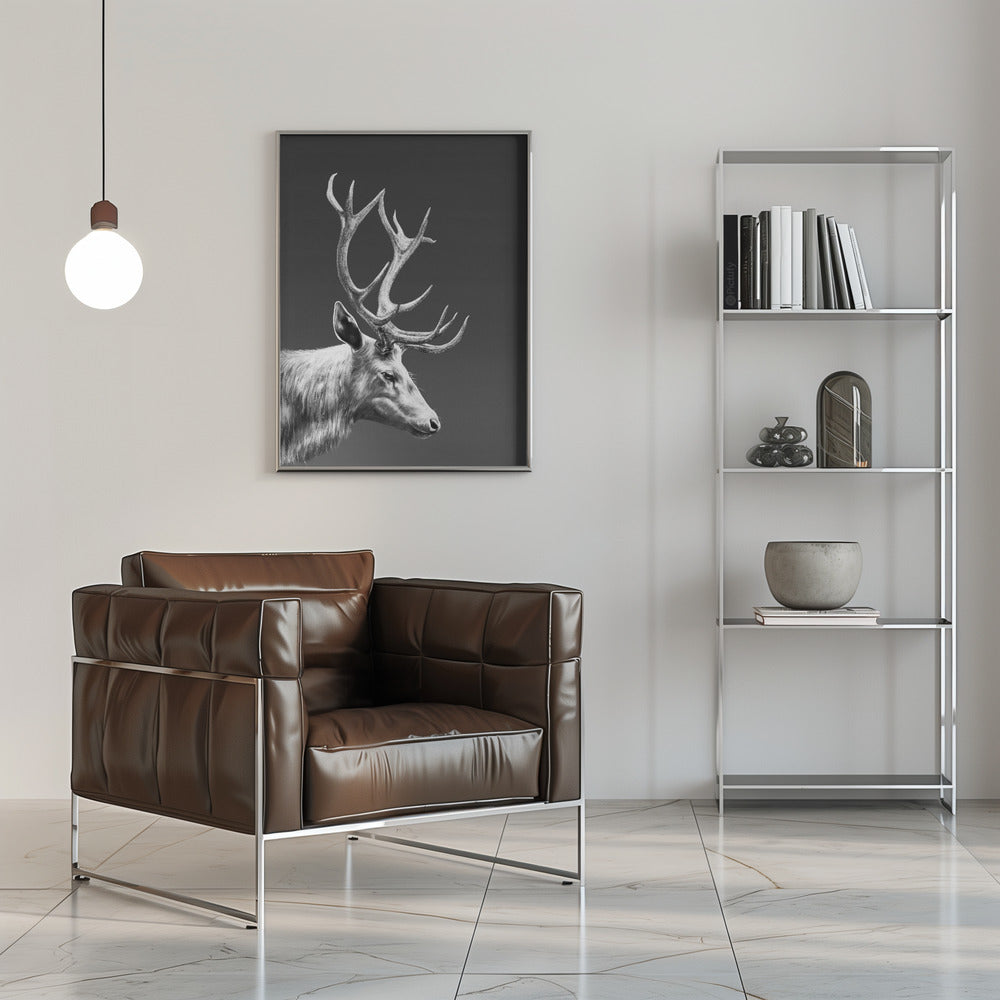 Rensdyr plakat