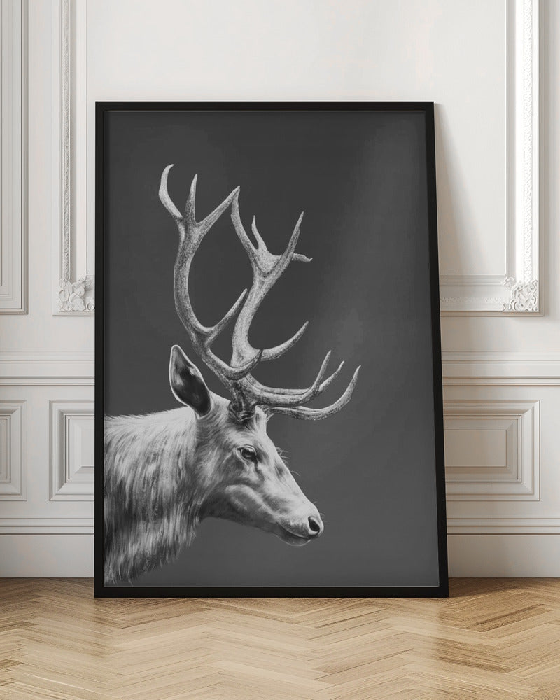 Rensdyr plakat