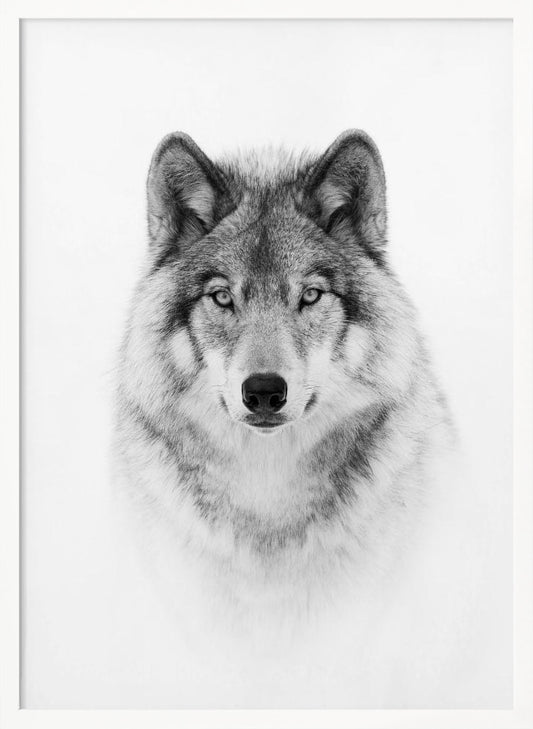 Timber Wolf plakat
